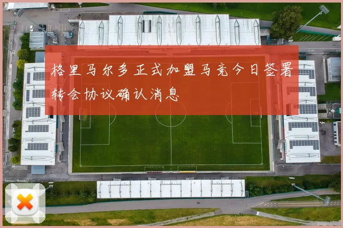 格里马尔多正式加盟马竞今日签署转会协议确认消息