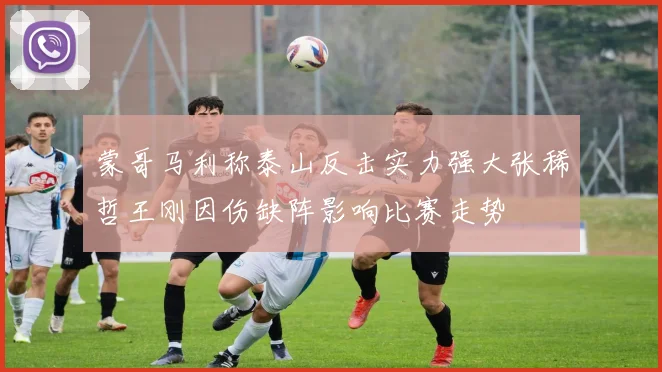 蒙哥马利称泰山反击实力强大张稀哲王刚因伤缺阵影响比赛走势