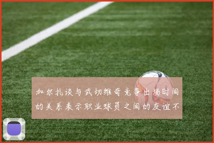 加尔扎谈与武切维奇竞争出场时间的关系表示职业球员之间的友谊不受影响